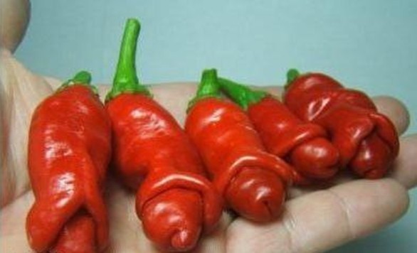 我的天，你丫不要长得这么性感可以不176 / 作者:瑶乡看兰 / 帖子ID:101526