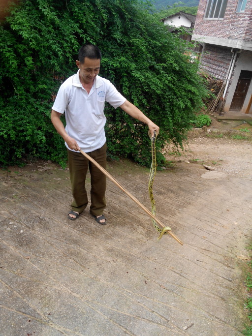 好大一条蛇834 / 作者:罗少爷 / 帖子ID:101796