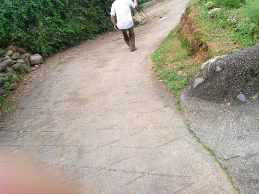 好大一条蛇294 / 作者:罗少爷 / 帖子ID:101796