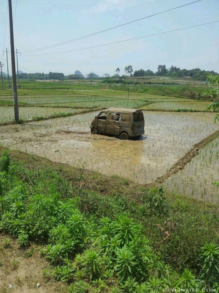 又见插秧机559 / 作者:恭城无聊人 / 帖子ID:101804