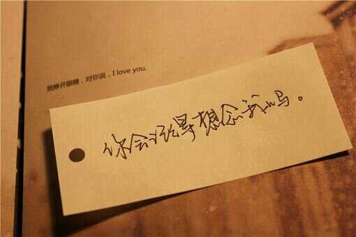 一样的眼睛！479 / 作者:罗少爷 / 帖子ID:102166