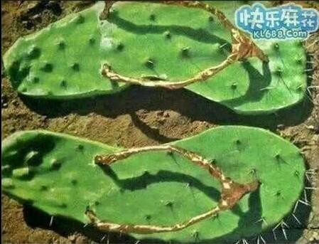 原来这就是传说中的仙人板板916 / 作者:罗少爷 / 帖子ID:102204