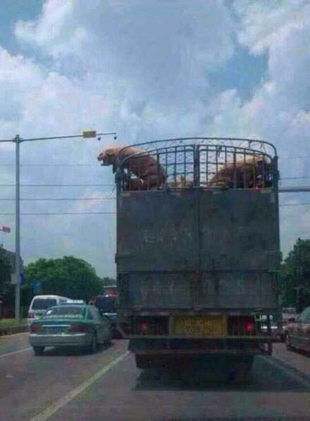 人生要来场说走就走的旅行！358 / 作者:罗少爷 / 帖子ID:102257