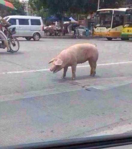 人生要来场说走就走的旅行！340 / 作者:罗少爷 / 帖子ID:102257