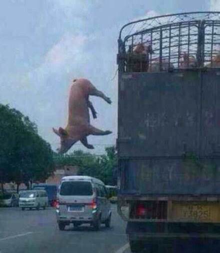 人生要来场说走就走的旅行！754 / 作者:罗少爷 / 帖子ID:102257