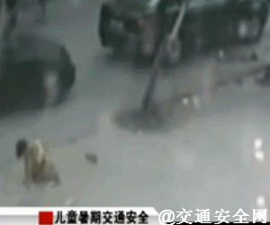 可怜的小生命405 / 作者:恭城无聊人 / 帖子ID:102276