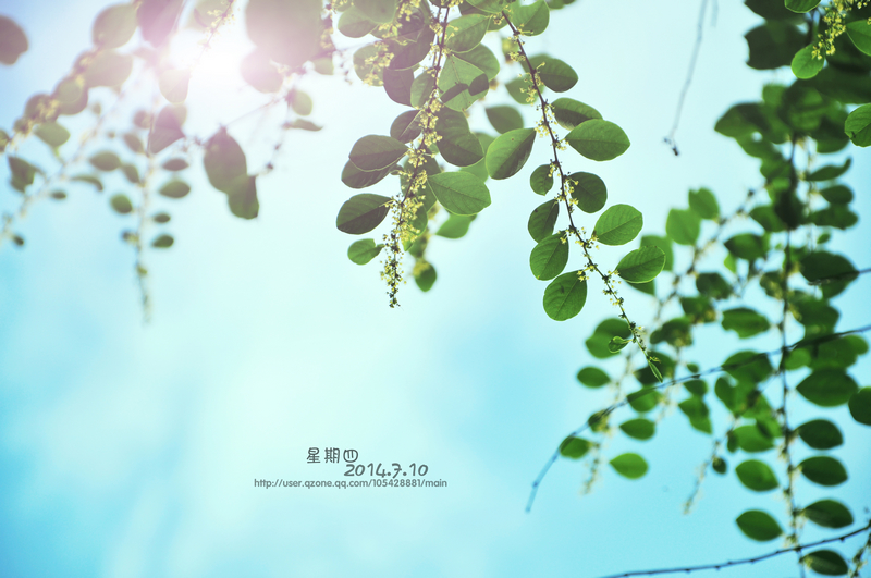 乱拍。576 / 作者:光纪年华 / 帖子ID:103638