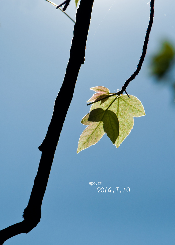 乱拍。525 / 作者:光纪年华 / 帖子ID:103638