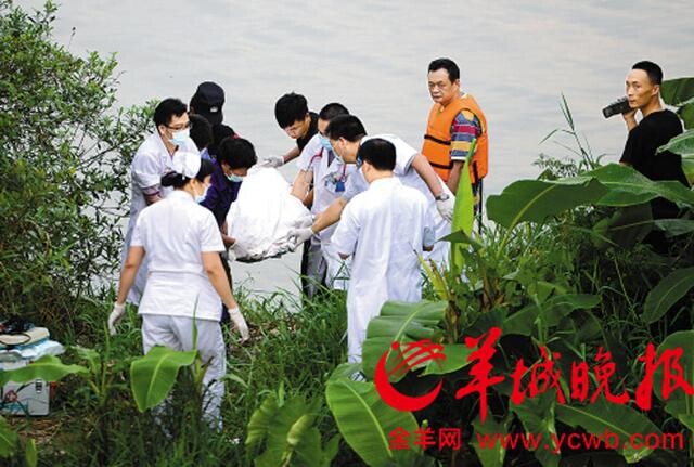 8外来工子弟结伴游野泳 5人同时溺亡.572 / 作者:王芳芳 / 帖子ID:104116