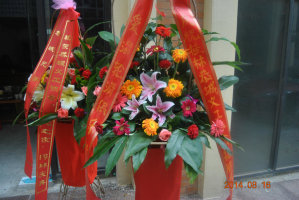 恭城义工协会（筹）揭牌仪式977 / 作者:恭城蚂蜂 / 帖子ID:104354