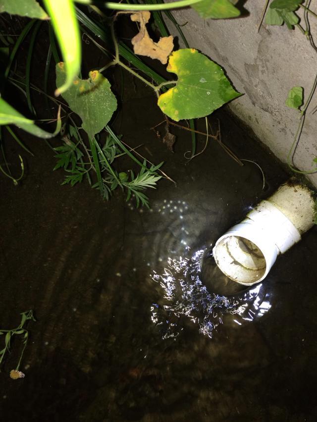 这条鱼下蛋蛋了586 / 作者:小富 / 帖子ID:104390