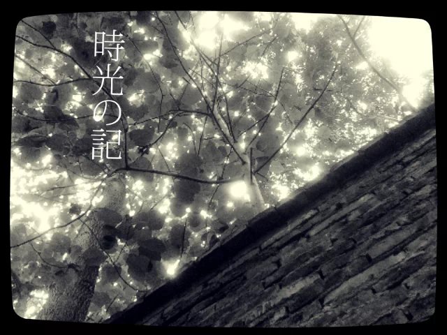手机拍拍。。519 / 作者:若無其事 / 帖子ID:104724