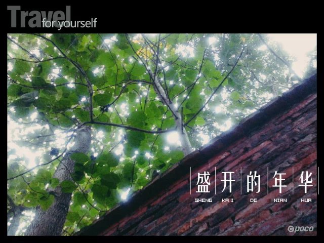 手机拍拍。。539 / 作者:若無其事 / 帖子ID:104724