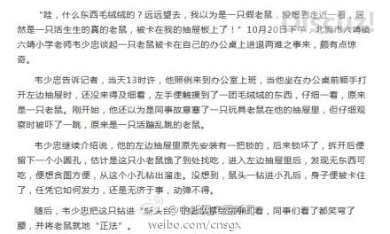 小老鼠贪吃把自己卡住了,老鼠也逗比825 / 作者:恭城520小奈姐姐 / 帖子ID:105287