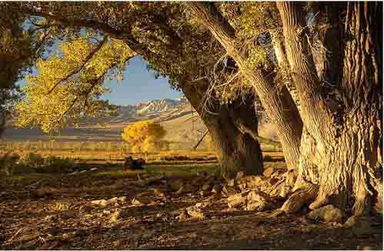 宁静的家！839 / 作者:建筑19551213 / 帖子ID:105550