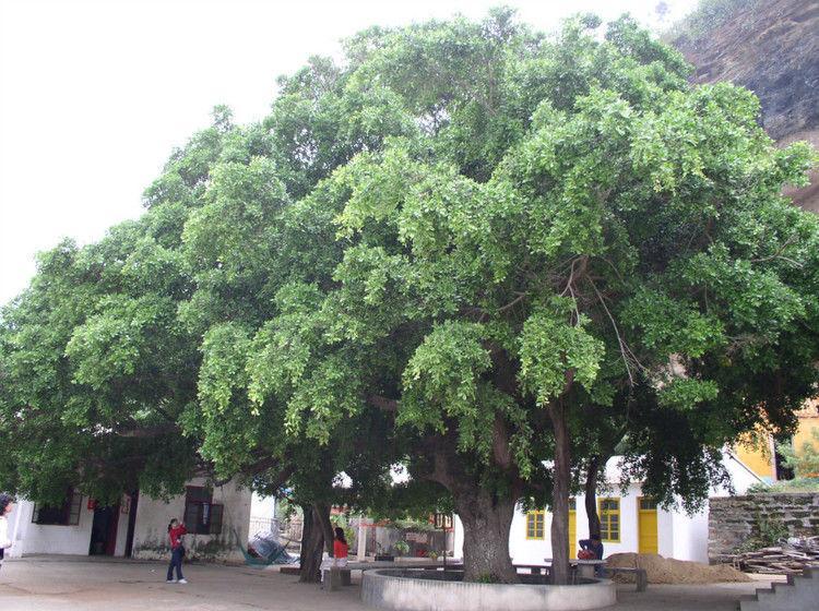 宁静的家！644 / 作者:建筑19551213 / 帖子ID:105550