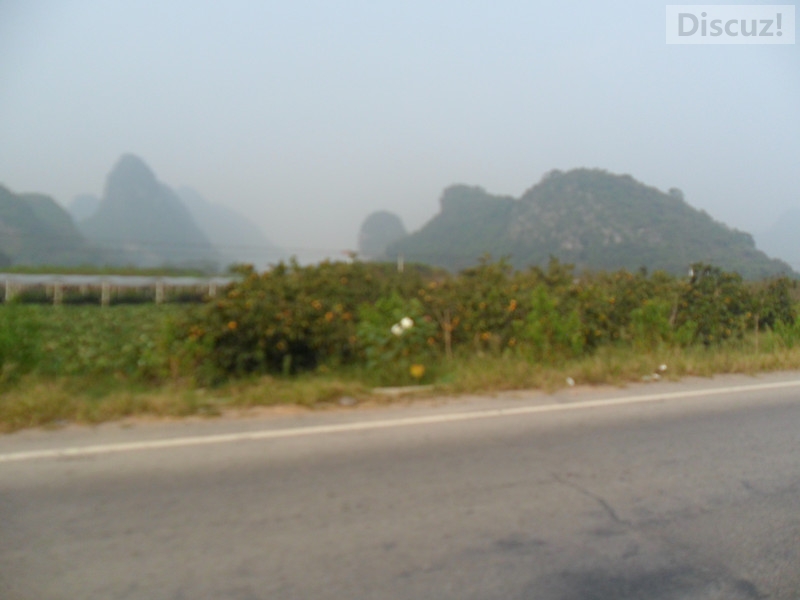 回家的路上风景最美…482 / 作者:建筑19551213 / 帖子ID:105604