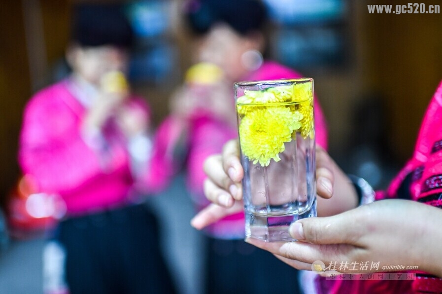 菊嫂(好地方，现在可以去采菊花了）355 / 作者:欧耶 / 帖子ID:105726