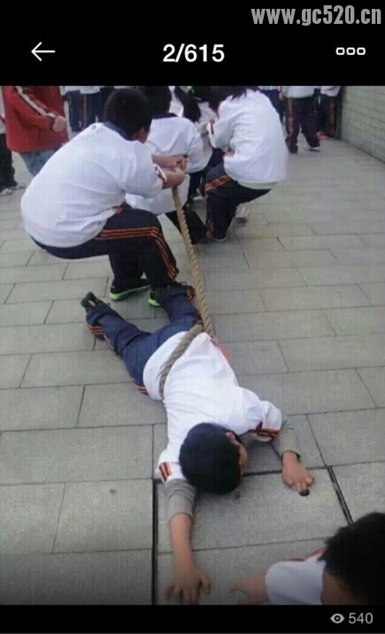 拔河比赛的精神在此24 / 作者:thkfh / 帖子ID:105730