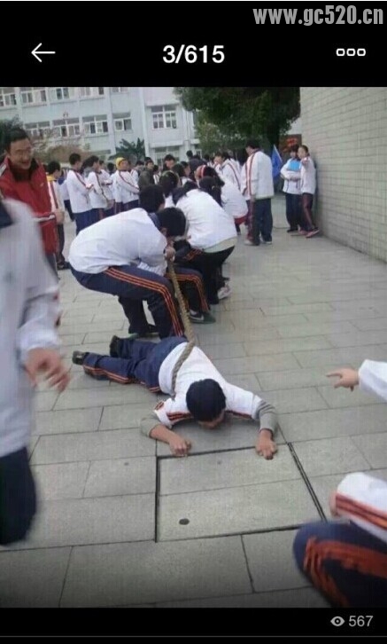 拔河比赛的精神在此391 / 作者:thkfh / 帖子ID:105730