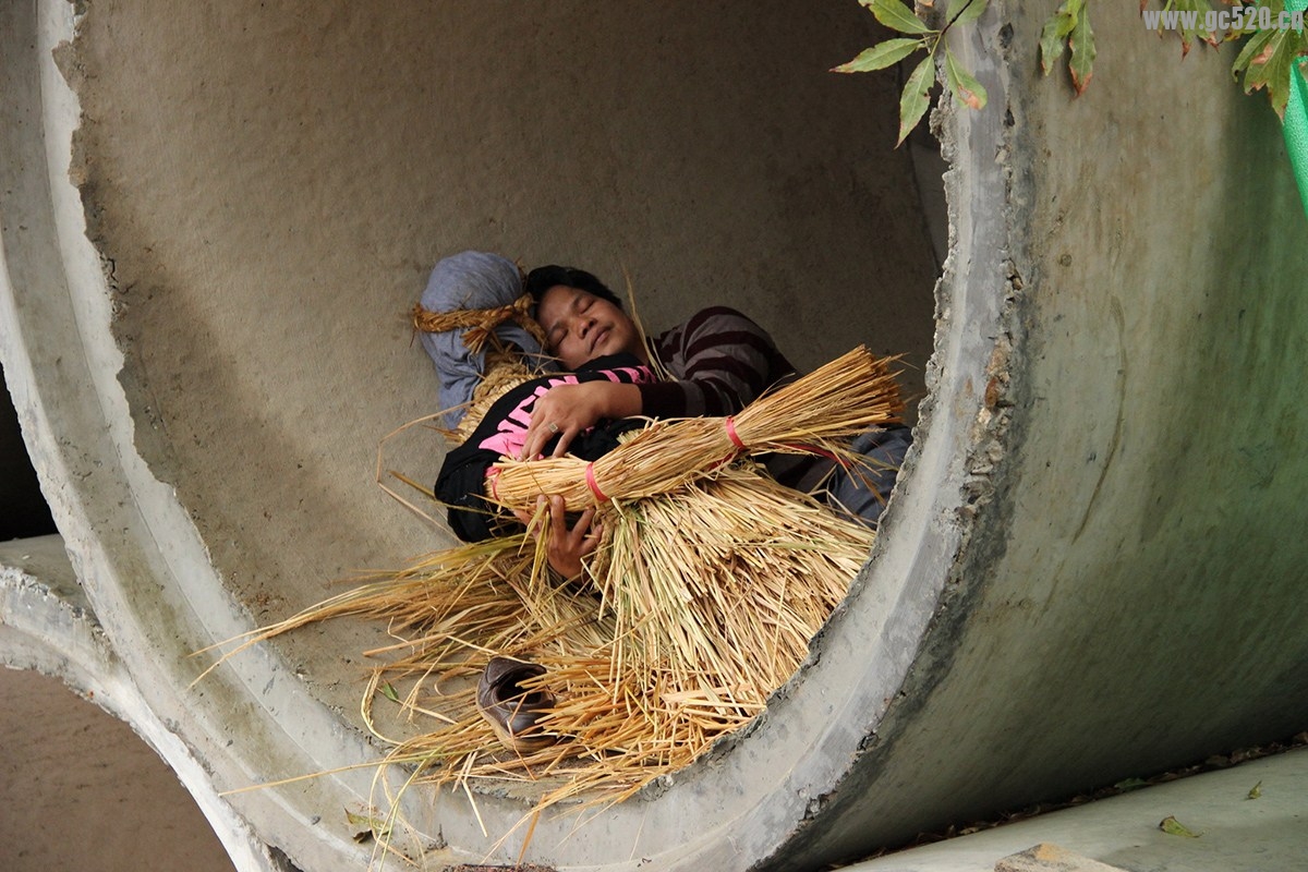 妻双11败掉两月工资…夫怒969 / 作者:建筑19551213 / 帖子ID:105783