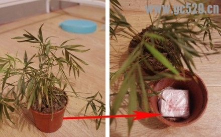 教你们如何藏私房钱，别笑早晚会用得着。。。812 / 作者:红通通 / 帖子ID:105870