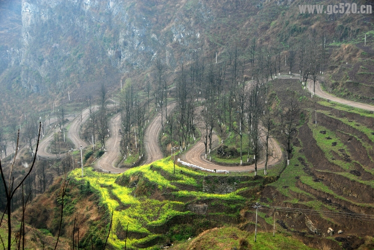 独走过的路，风景最美…605 / 作者:建筑19551213 / 帖子ID:105883