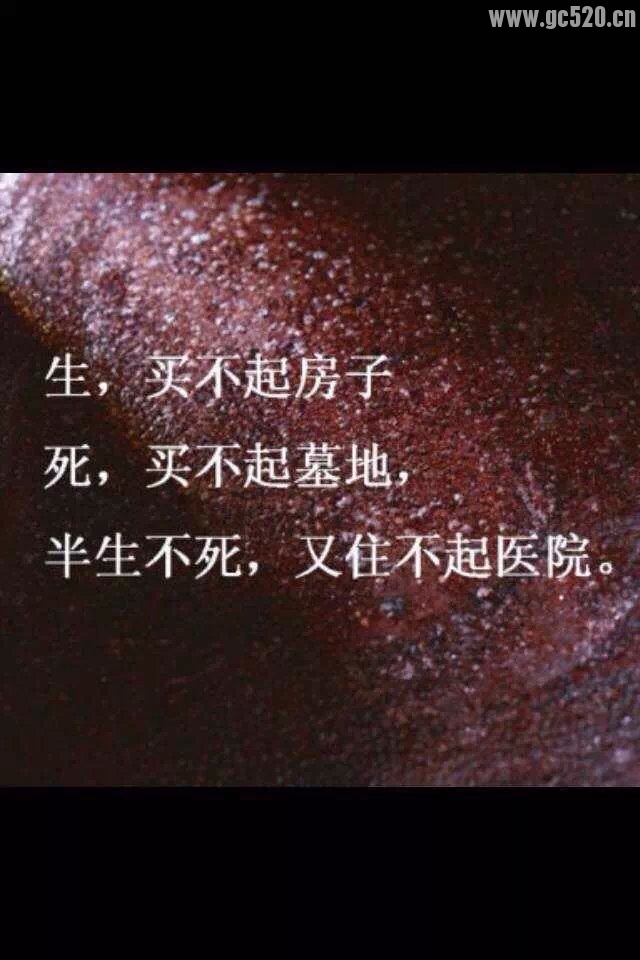 六菜一汤!567 / 作者:罗少爷 / 帖子ID:105886