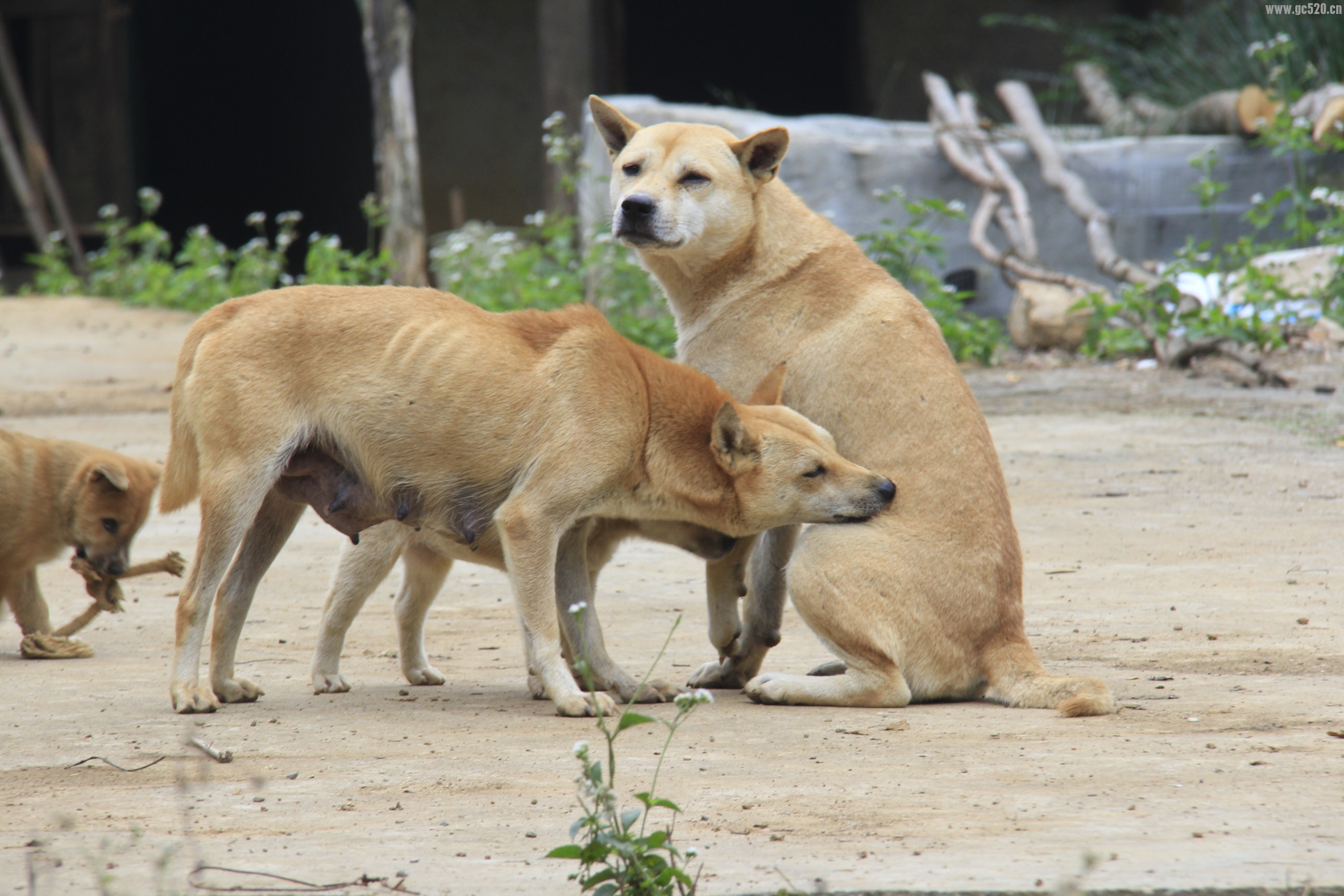 看图猜成语，奖励金币【NO.4】283 / 作者:瑶乡看兰 / 帖子ID:105889
