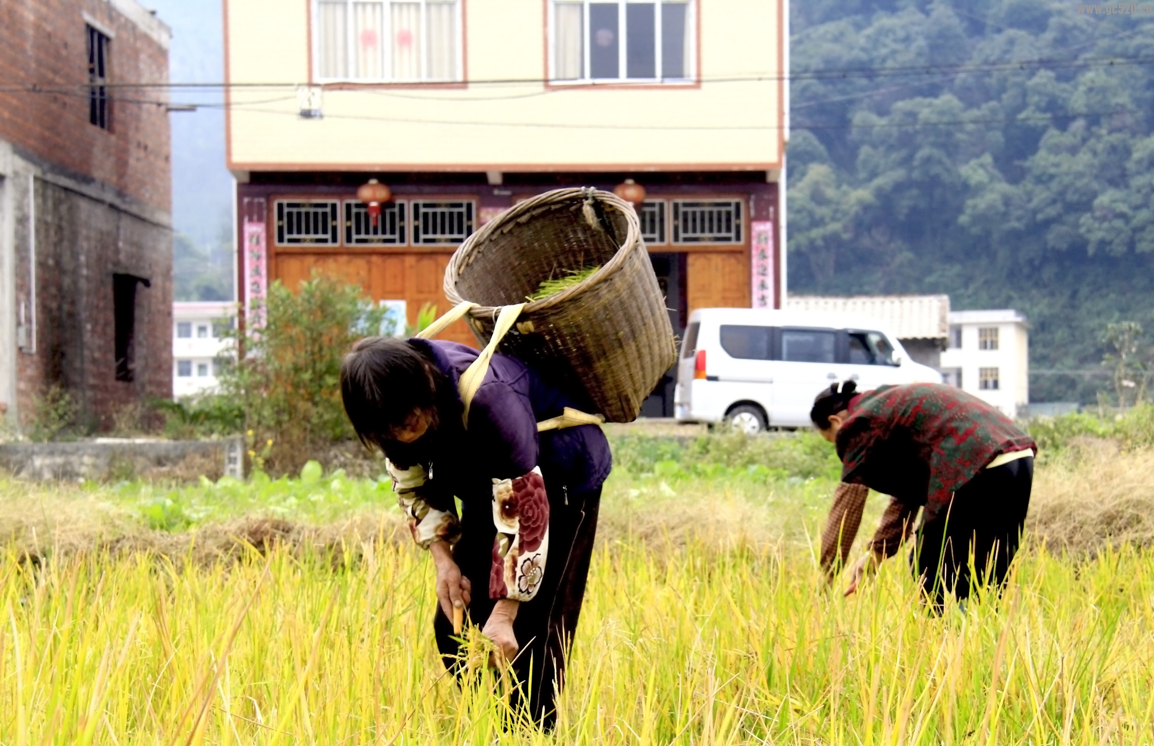 看图猜成语，奖励金币【NO.4】770 / 作者:瑶乡看兰 / 帖子ID:105889