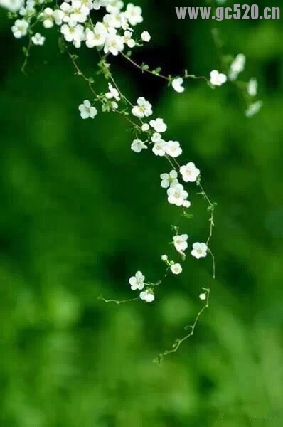 多点宽容，多些理解…让网络感情走的远一点！322 / 作者:建筑19551213 / 帖子ID:105971