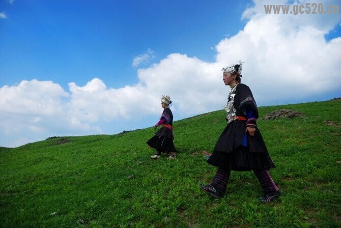 多点宽容，多些理解…让网络感情走的远一点！775 / 作者:建筑19551213 / 帖子ID:105971