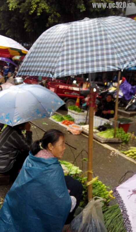 同样是挡雨，人家就是潇洒点点嘞799 / 作者:北辰 / 帖子ID:105978