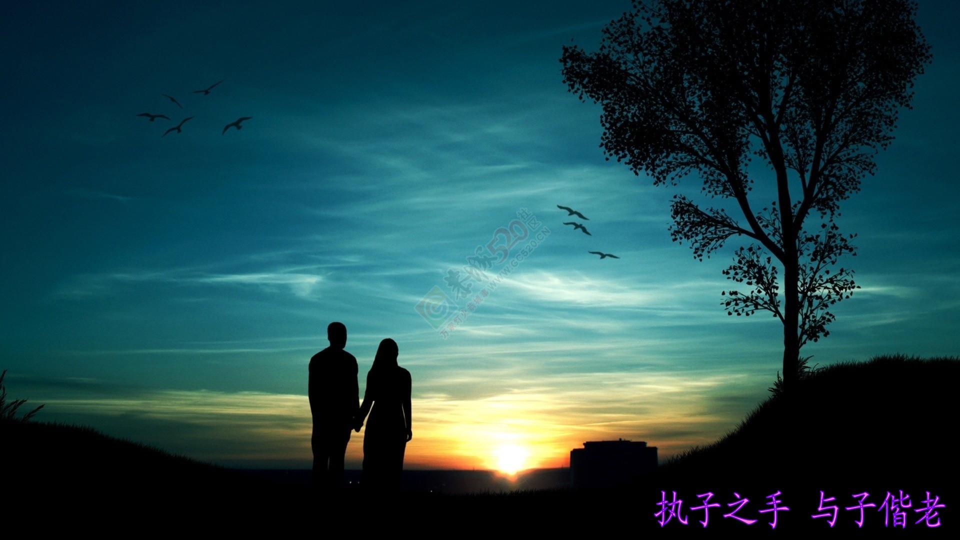 《征婚》男 大 当 婚480 / 作者:情定茶江城 / 帖子ID:106181
