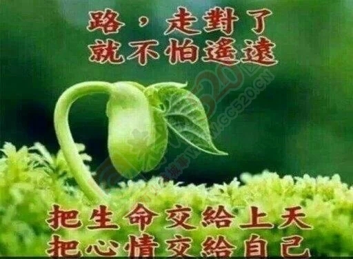 一个人的路，一个人的旅途！…887 / 作者:建筑19551213 / 帖子ID:106410
