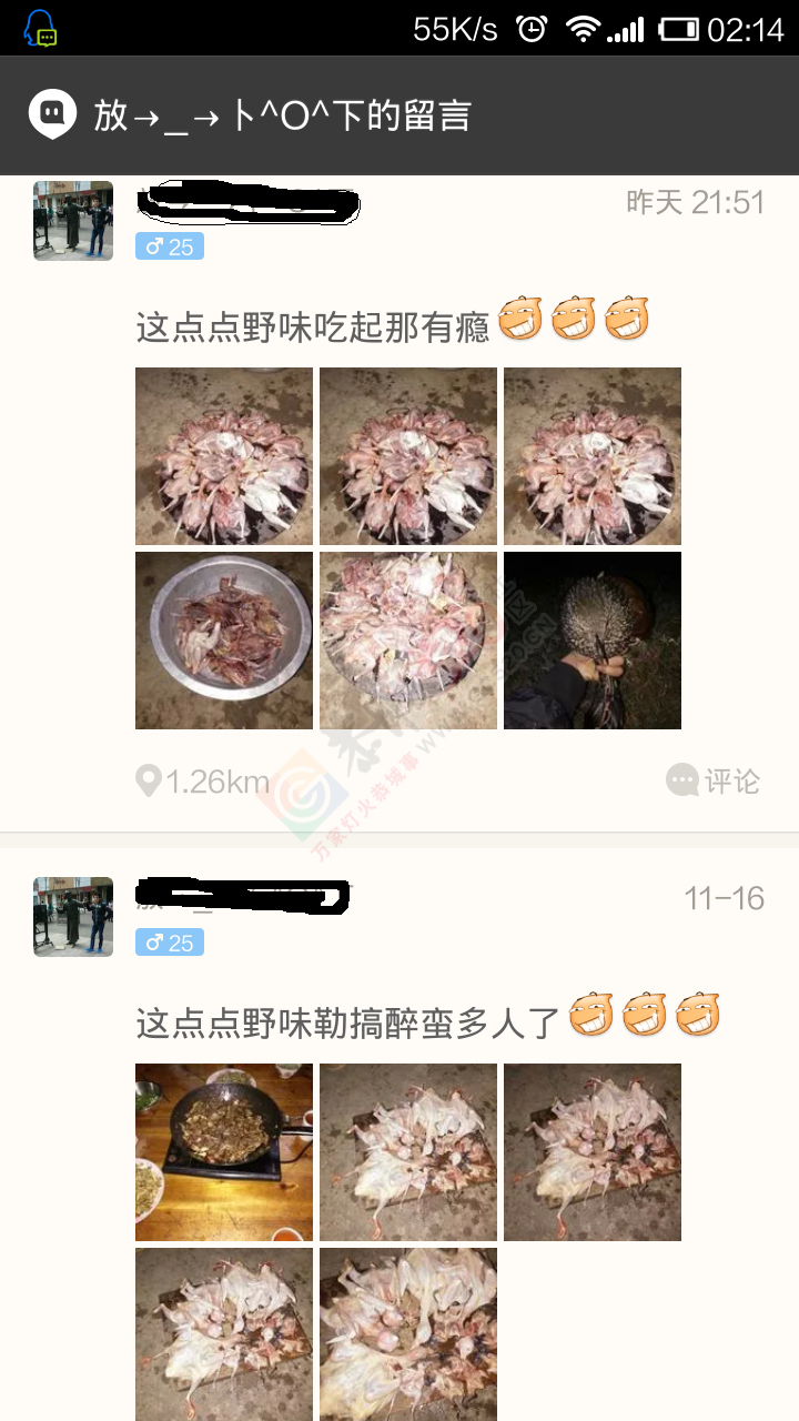 野生鸟类屡遭猎杀：谁来救救它们？528 / 作者:山楂糖 / 帖子ID:106448