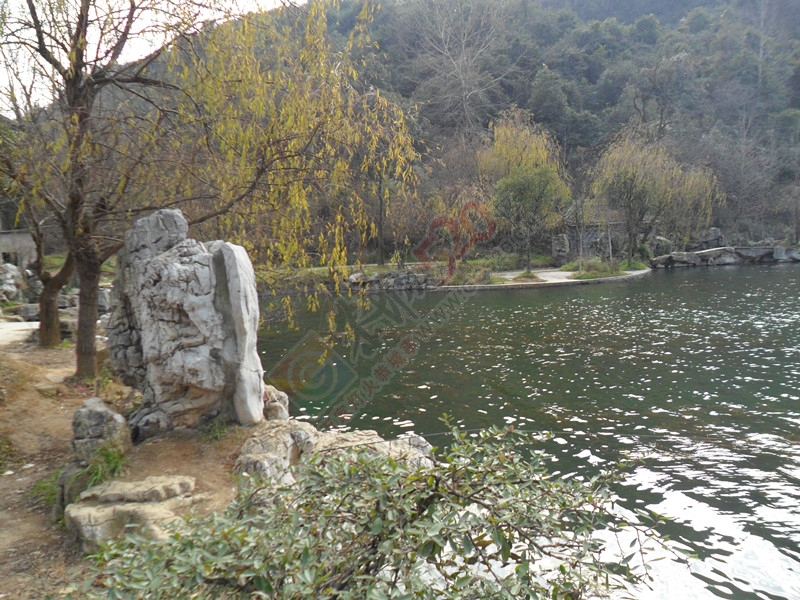 风携寒凉，几许绿黄的叶片尚挂在树上！…468 / 作者:建筑19551213 / 帖子ID:107023