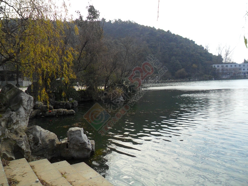 风携寒凉，几许绿黄的叶片尚挂在树上！…942 / 作者:建筑19551213 / 帖子ID:107023