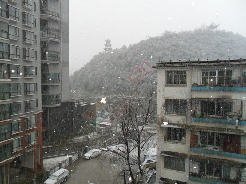 你那里下雪了吗？！…今天我这里下雪了！……930 / 作者:建筑19551213 / 帖子ID:107564