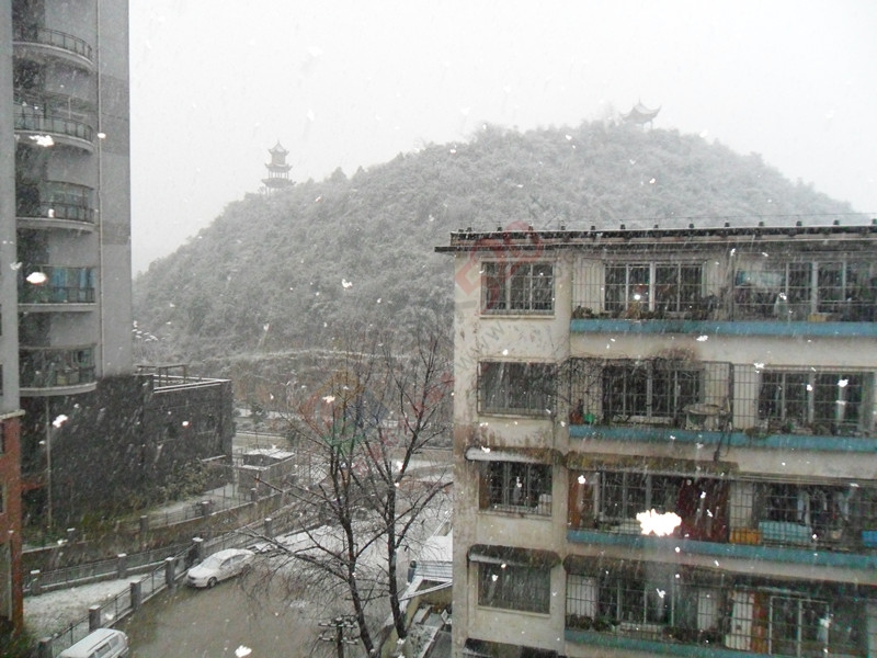 你那里下雪了吗？！…今天我这里下雪了！……987 / 作者:建筑19551213 / 帖子ID:107564