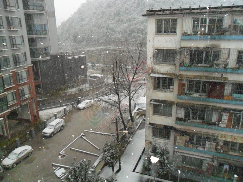你那里下雪了吗？！…今天我这里下雪了！……873 / 作者:建筑19551213 / 帖子ID:107564