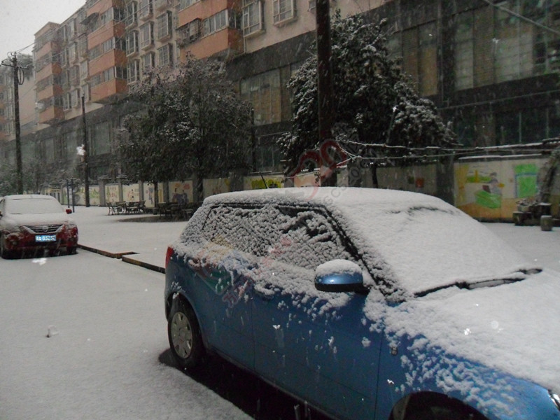 晶莹剔透的雪花洒了满地！…138 / 作者:建筑19551213 / 帖子ID:107582