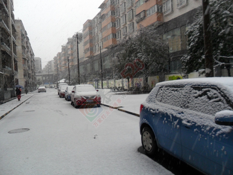 晶莹剔透的雪花洒了满地！…728 / 作者:建筑19551213 / 帖子ID:107582
