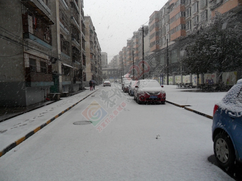 晶莹剔透的雪花洒了满地！…102 / 作者:建筑19551213 / 帖子ID:107582