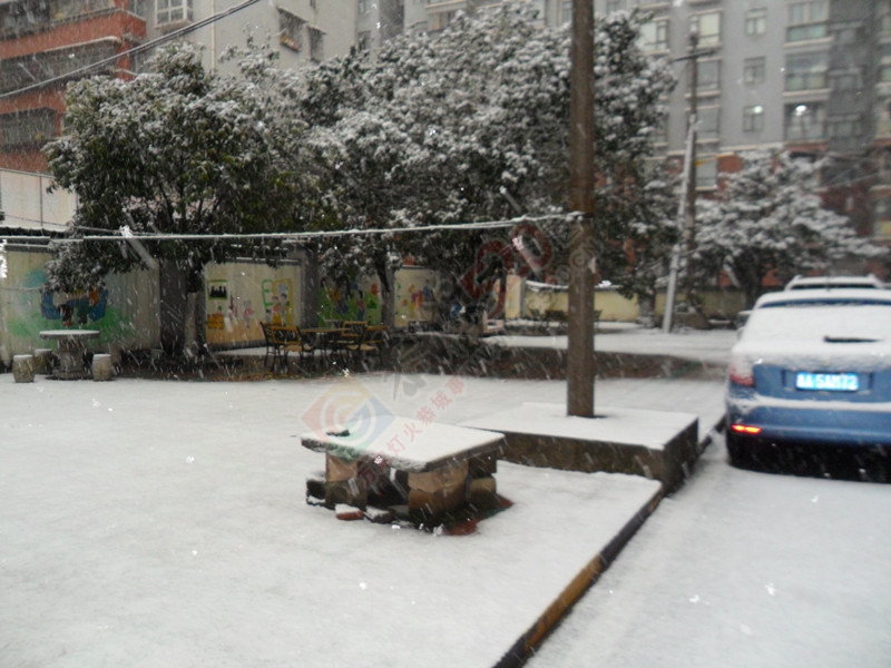 晶莹剔透的雪花洒了满地！…831 / 作者:建筑19551213 / 帖子ID:107582