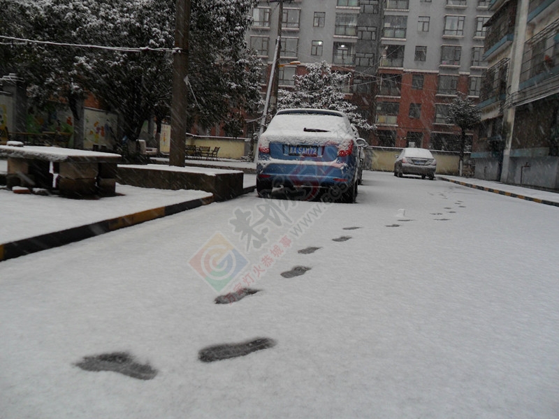 晶莹剔透的雪花洒了满地！…666 / 作者:建筑19551213 / 帖子ID:107582