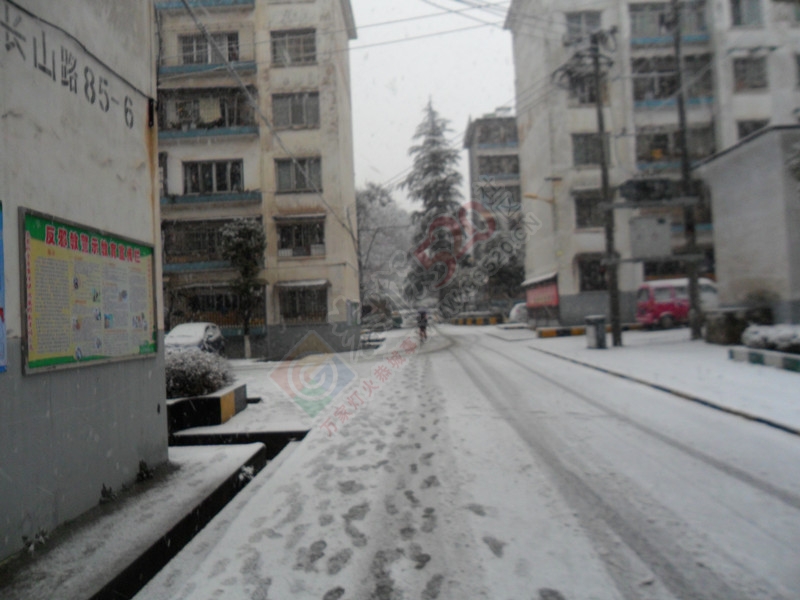 晶莹剔透的雪花洒了满地！…261 / 作者:建筑19551213 / 帖子ID:107582