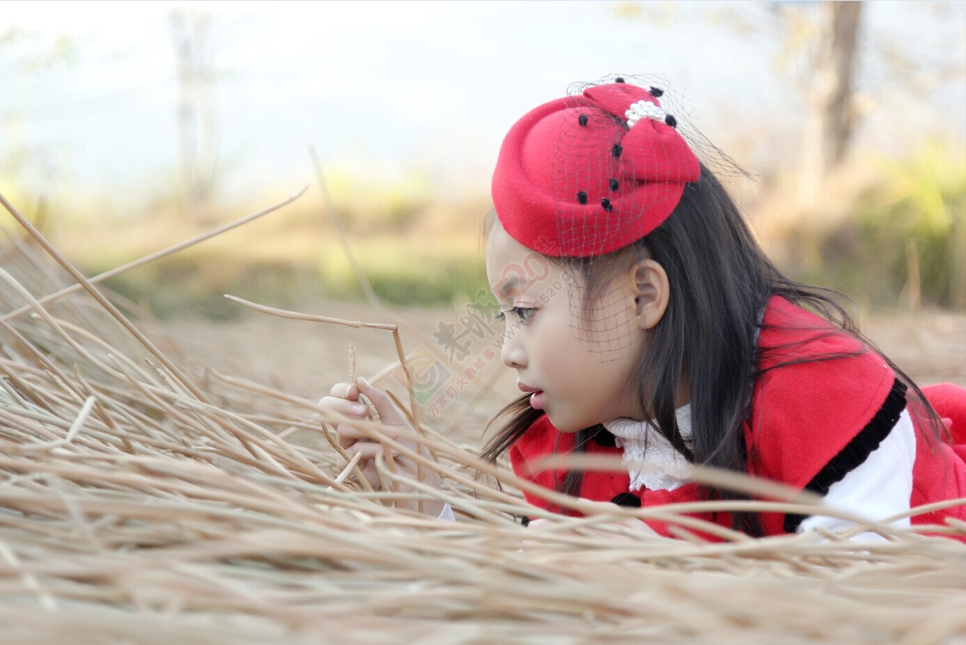 天天看新闻，今天发两张小美女的照片给大家看看吧503 / 作者:或许 / 帖子ID:107616