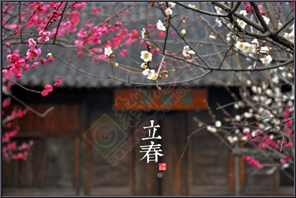 今天立春啦100 / 作者:建筑19551213 / 帖子ID:111852