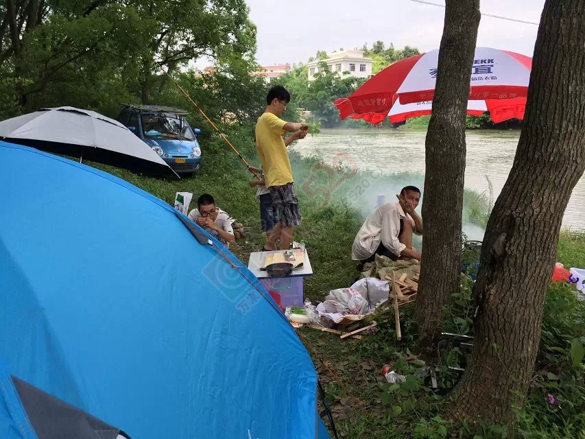 户外野炊露营活动取得圆满成功——MDG864 / 作者:小绿 / 帖子ID:102086